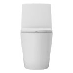 Avina Monoblock Toilet - Image 4