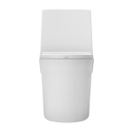 Avisa Monoblock Toilet - Image 5